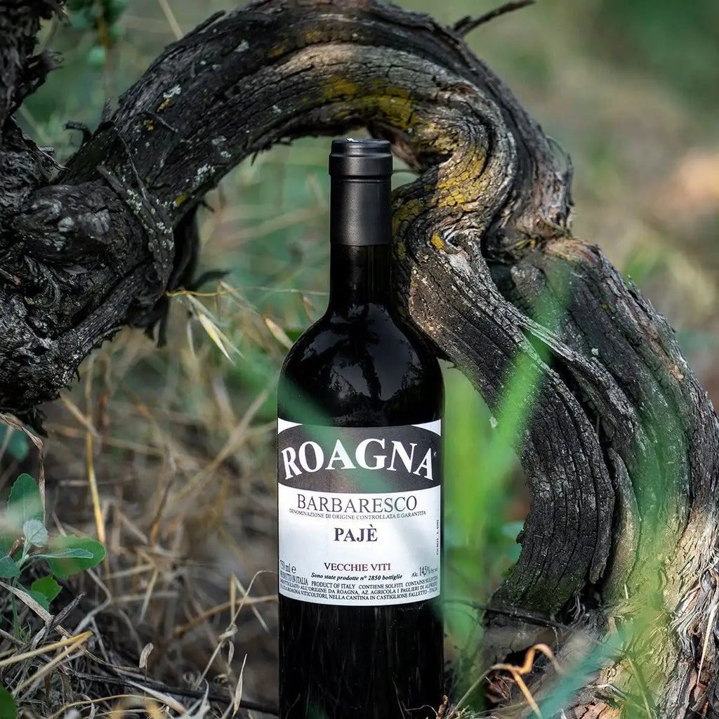 2017 Roagna Paje Vecchie Viti Barbaresco DOCG 750ml