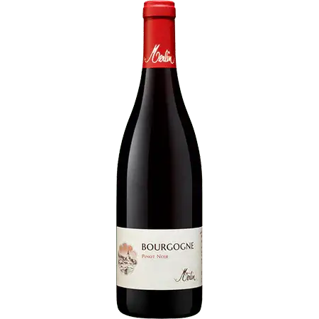 2022 Domaine Olivier Merlin Bourgogne Rouge